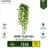 Artificial Hanging Money Plant Bail for Home & Office Decoration by FamYou