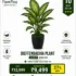 Artificial Dieffenbachia Plant 3.5 FT with Decorative Pot for Home and Office Decoration by FamYou
