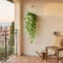 Artificial Hanging Money Plant Bail