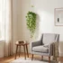 Artificial Hanging Money Plant Bail