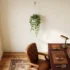 Artificial Hanging Money Plant Bail