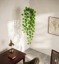 Artificial Hanging Money Plant Bail