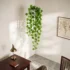 Artificial Hanging Money Plant Bail