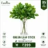 Artificial Green Leaf Stick in Glass Vase – Premium Indoor Decorative Plant by FamYou