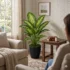 Artificial Dieffenbachia Plant